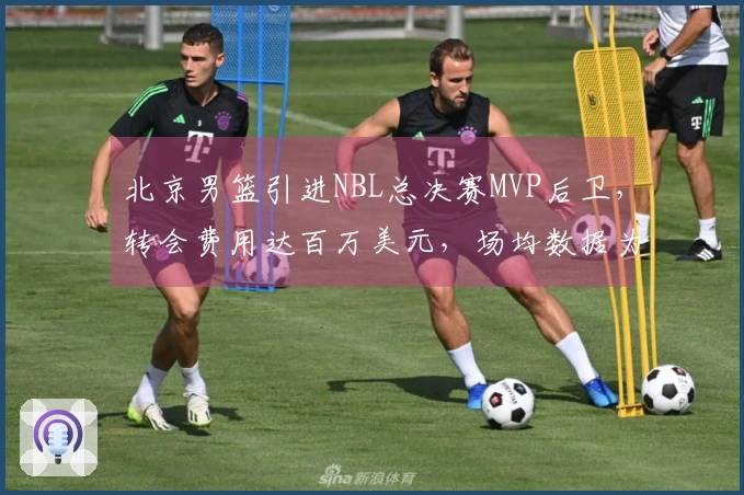 北京男篮引进NBL总决赛MVP后卫，转会费用达百万美元，场均数据为27+10