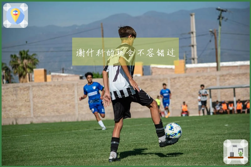谢什科的机会不容错过