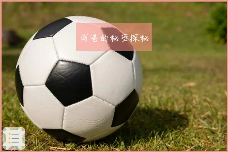海港的秘密探秘